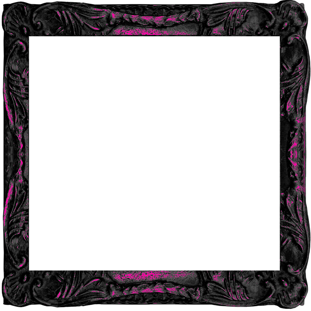 warren haynes quote